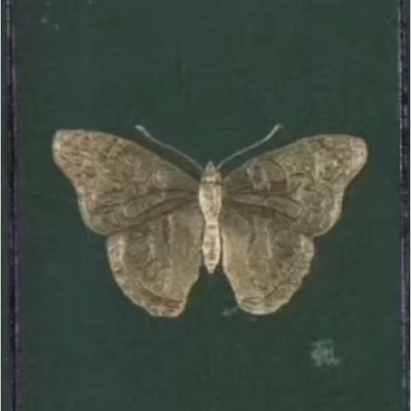 nhutchb1123